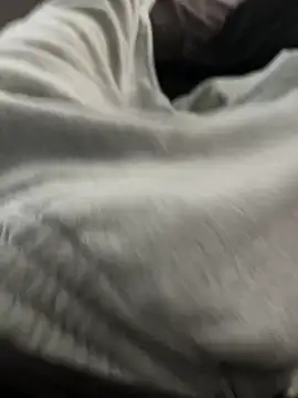 bugballs1 online show from February 20, 11:38 pm