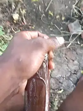 kalai 32 online show from February 8, 4:07 am