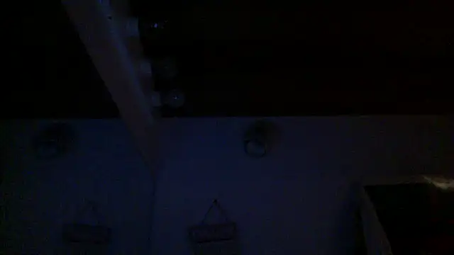 dixiedevin online show from March 5, 10:44 am