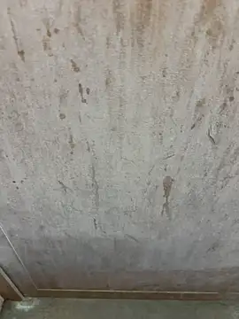 chennai sexyboy online show from February 14, 4:57 pm