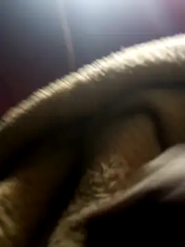 jodezww online show from March 1, 8:47 am