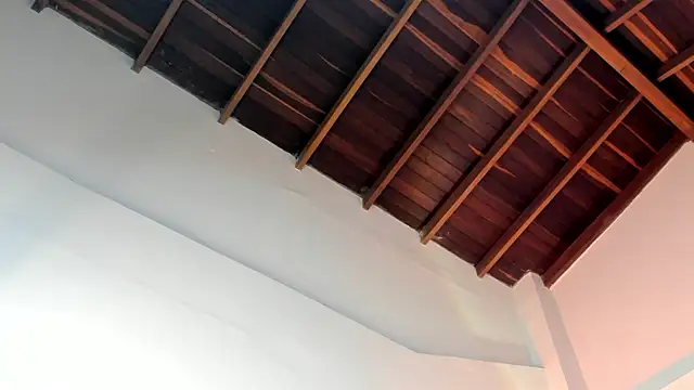 TonyPetrovjs online show from April 1, 4:58 am