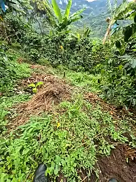 AleXi25975hhgh online show from March 18, 2:42 pm