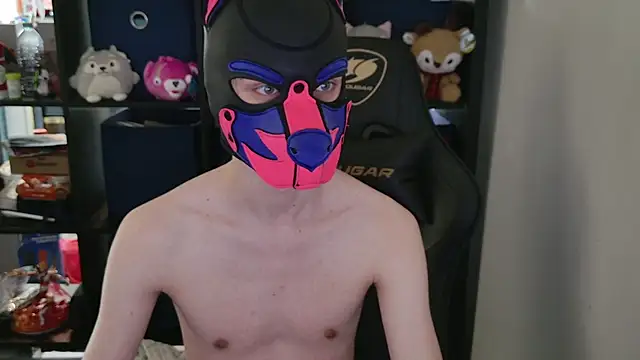 MellPUP online show from April 28, 6:12 pm