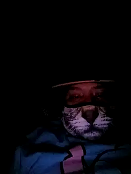 Charlygunslove online show from March 3, 1:35 am