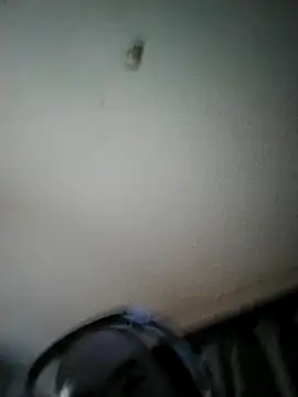 Sith-Wookiee online show from May 7, 7:47 pm