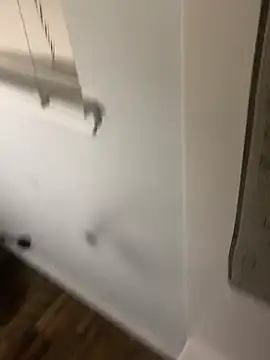 igotthatjumbo online show from March 25, 9:02 am