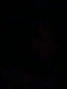 pochhss44 online show from March 29, 9:09 am