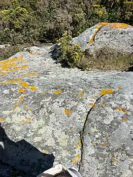 Adventure wifeandblack online show from April 3, 12:46 pm