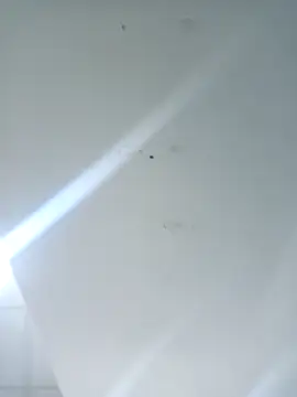 Achrafbobo online show from April 5, 4:14 pm