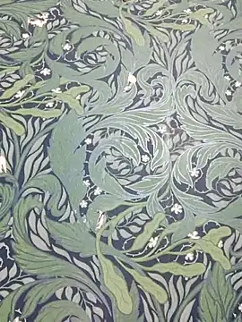 singh phiu online show from April 20, 11:13 am