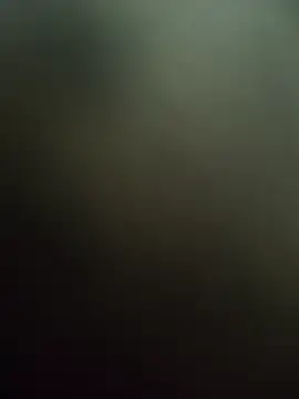 saur1221wjz online show from April 17, 2:09 pm