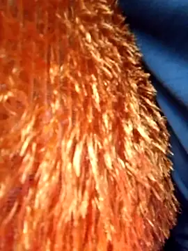 Talee2 online show from April 22, 8:52 am