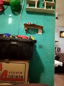 Josefue online show from April 30, 1:29 pm