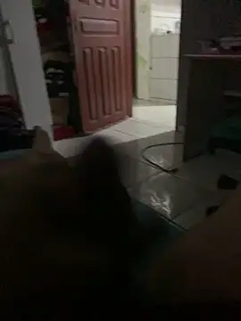 Mathbdick online show from May 30, 8:53 pm