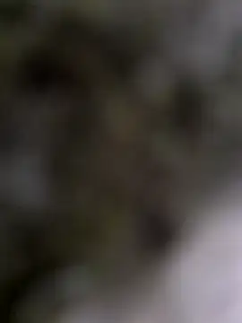 Demillvan online show from January 15, 2:56 pm