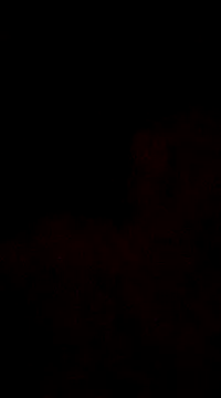 6crimson6 online show from December 30, 4:20 am