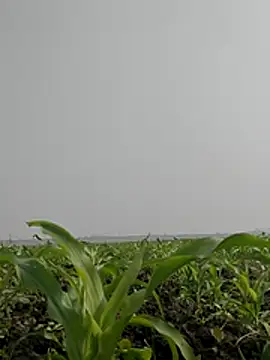 ThethunderPo online show from February 3, 6:51 am