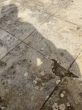 curcuro online show from March 1, 10:48 am