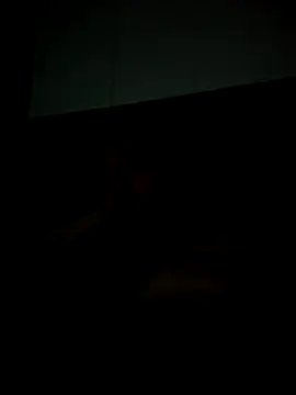 Dw8584 online show from December 16, 7:15 am