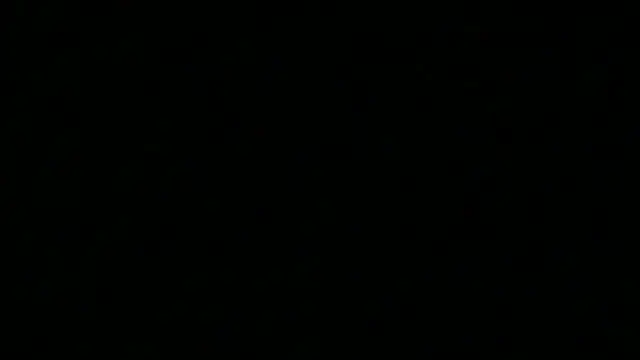 iAmNukka187 online show from January 15, 5:11 am