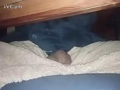 Bigdick666cm online show from March 6, 3:13 am