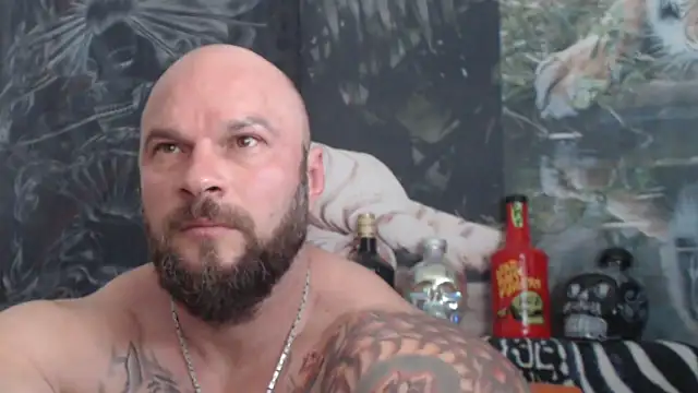viking 30 online show from May 23, 10:10 am