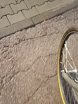 FireFox FeII online show from March 8, 2:38 pm