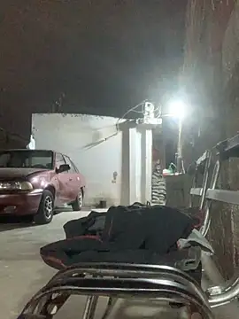 jesusthedonkey online show from November 29, 6:37 am