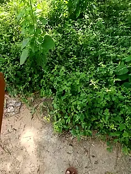 rameshmry1 online show from October 19, 8:06 am