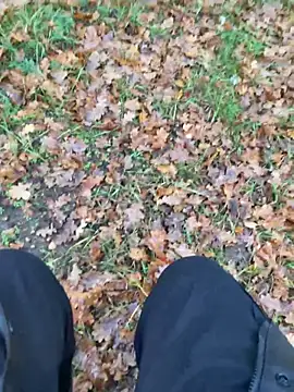 hamstergrabben online show from October 24, 11:45 am