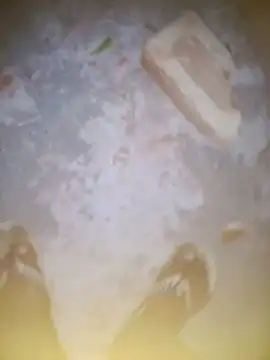 FinableKnee online show from February 7, 1:18 pm