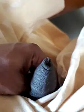 malluflash online show from February 7, 6:53 am