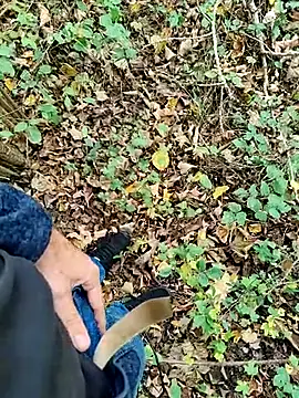 Boring one online show from October 15, 1:08 pm