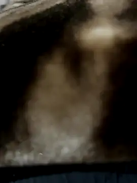 bigshow112 online show from November 13, 4:17 am