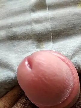 encantajpdo online show from April 1, 2:25 pm