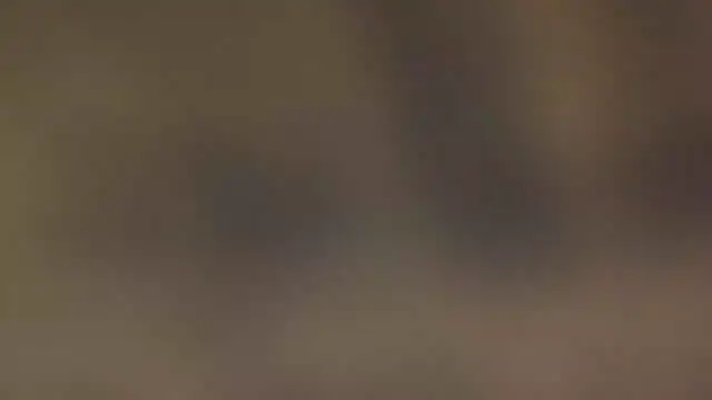 leccaleccafiga online show from March 15, 10:23 am