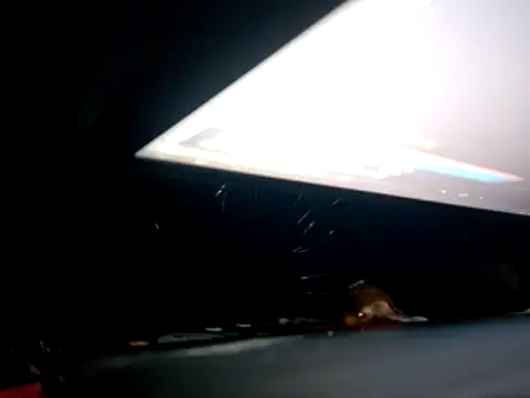 Crystalbitchx online show from October 26, 12:56 am