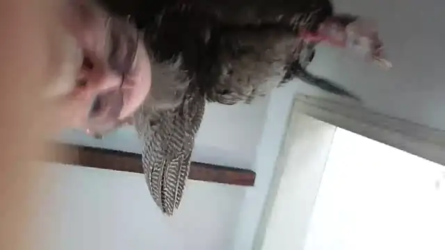 CDforU online show from February 4, 5:52 pm