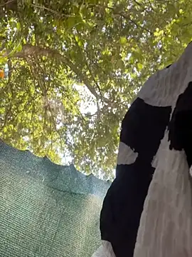 Shamang269 online show from October 1, 7:29 pm