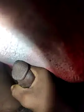 Skilful Newness online show from December 16, 4:55 am