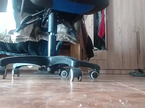 alphaswitchard online show from October 18, 9:53 pm