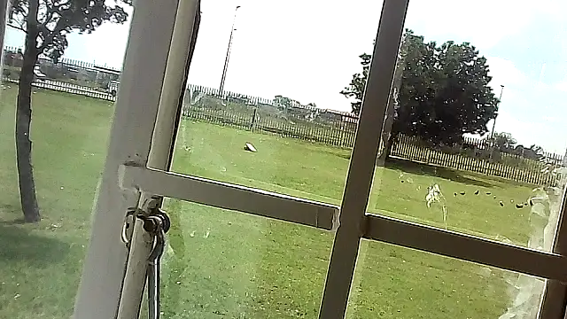 Yardie bone online show from April 17, 10:40 am