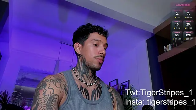 TigerStripes1  online show from March 2, 1:47 am